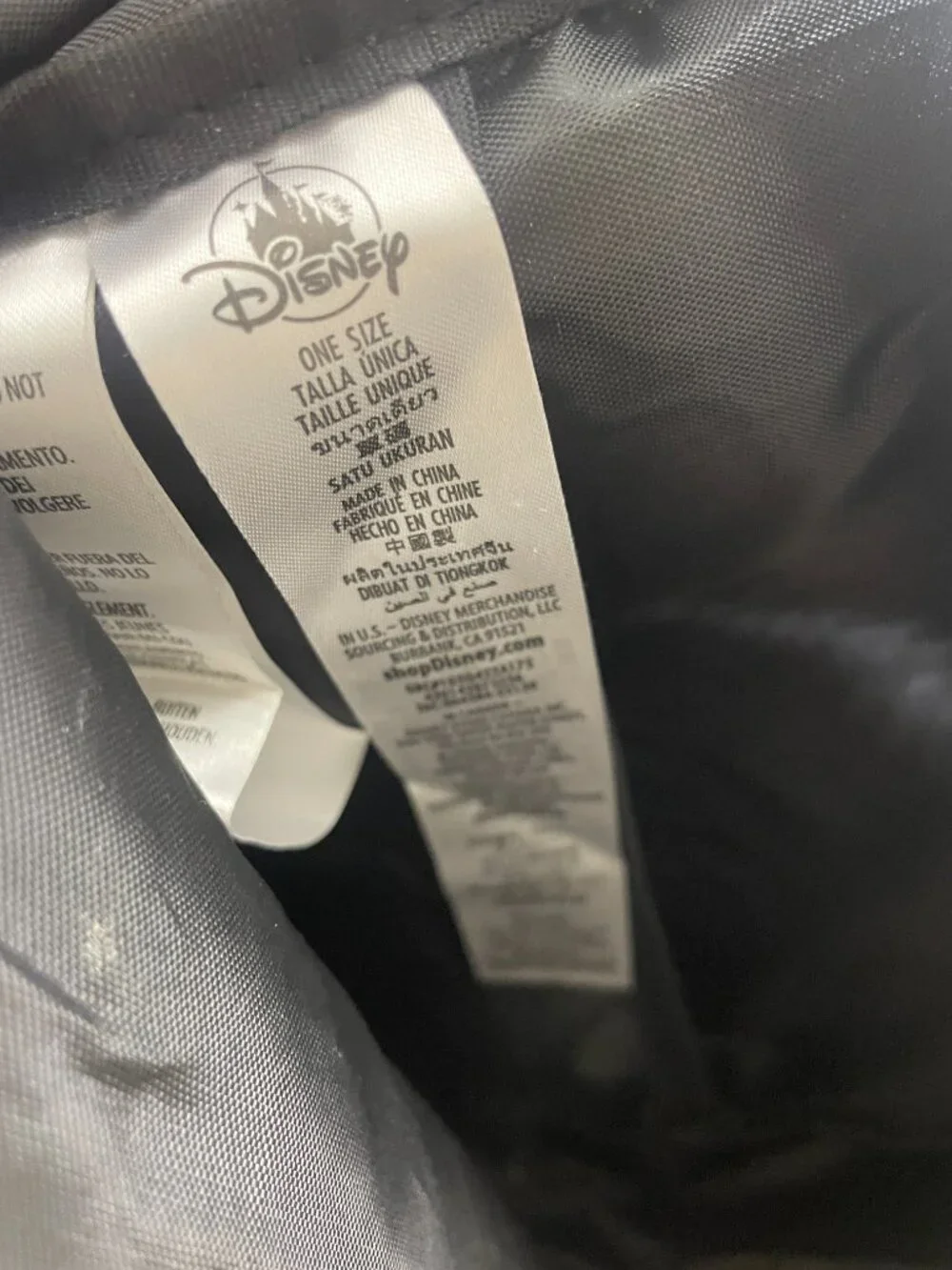 Disney parks adult